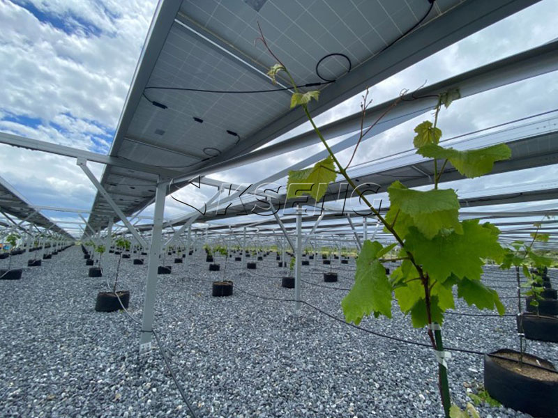High-clearance agrivoltaic mounting system Kseng-Energy-Agri-PV-estructura-de-montaje