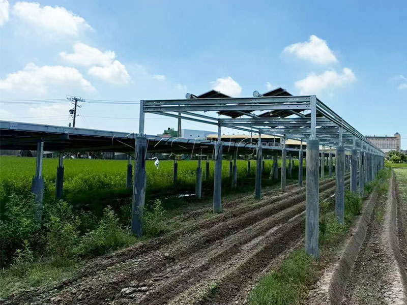 Proyecto de cobertizo agr&iacute;cola solar personalizado de Kseng en Changhua, Taiw&aacute;n: un sistema de montaje en suelo de 158,835 KW con &aacute;ngulos ajustables