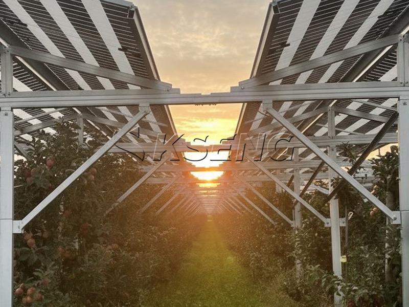 Estudio de caso: parque solar de 3 MW en Alemania: una historia de &eacute;xito con la estructura agro-fotovoltaica de Kseng Solar