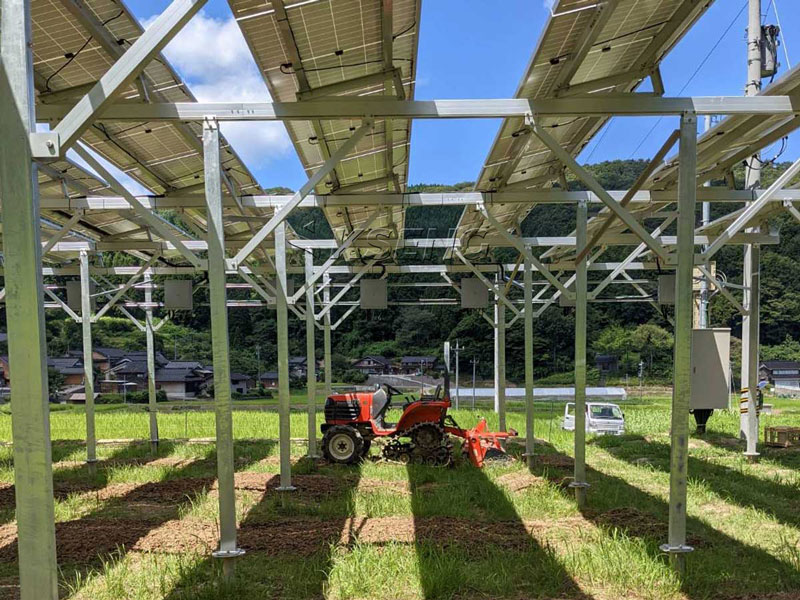 Sistema de montaje en suelo agr&iacute;cola con estructura de granja solar Zn-Al-Mg